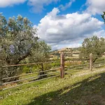 La Baciosa